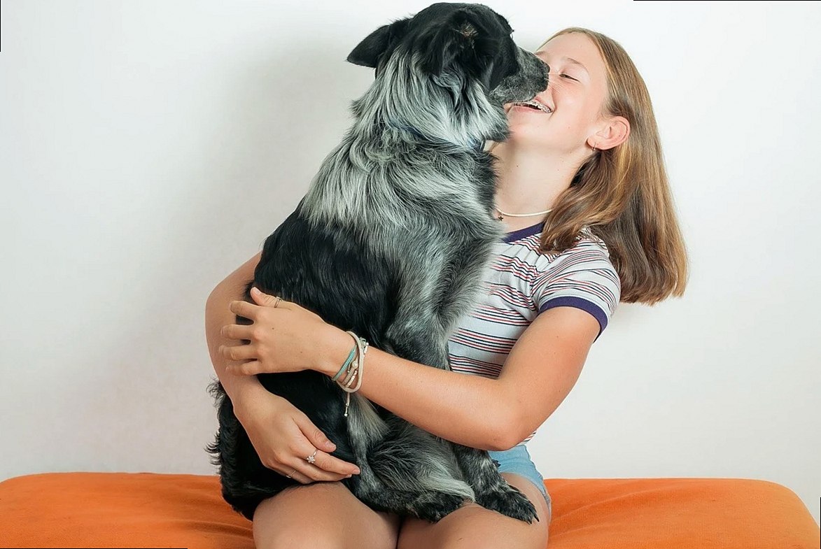pet, dog, sheep dog, girl, fun, happy, love, animal, puppy, cute, portrait, people, funny, friends, nature, domestic, ad